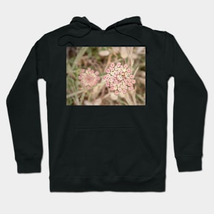 Flowers and Snails Hoodie